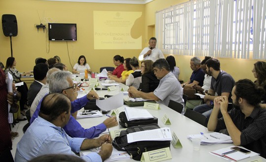 Gestor Governamental participa de reunião no Conselho Estadual de Saúde